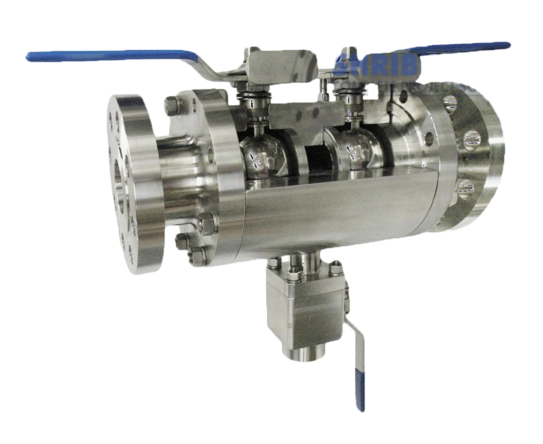 Double Block Bleed Valves