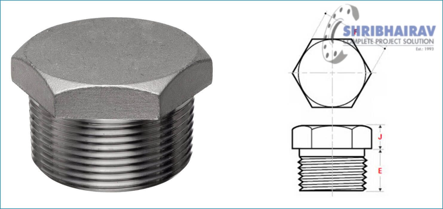 ASME B16.11 Threaded / Screwed Hex Plugs